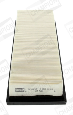 Air Filter CAF100737P