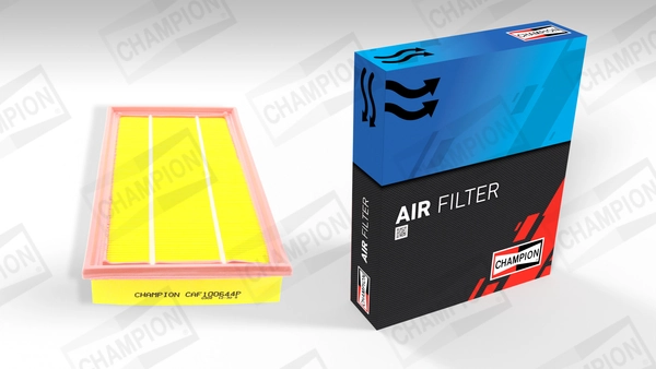 Air Filter CAF100644P