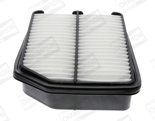 Air Filter CAF100882P