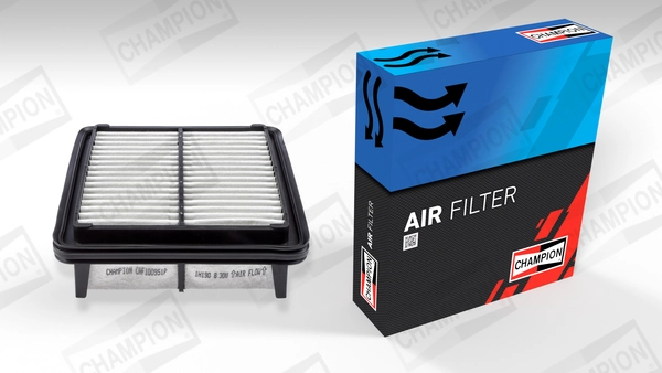 Air Filter CAF100951P