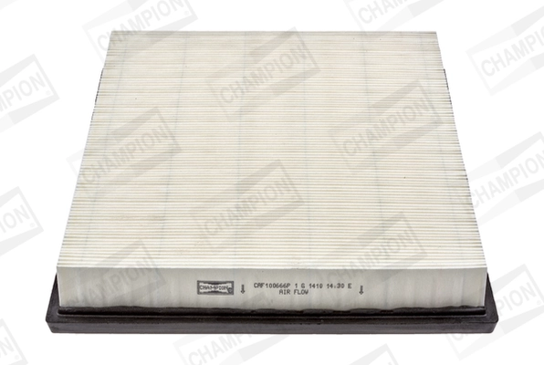 Air Filter CAF100666P