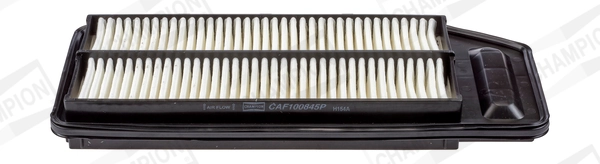 Air Filter CAF100845P