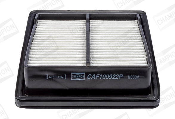 Air Filter CAF100922P