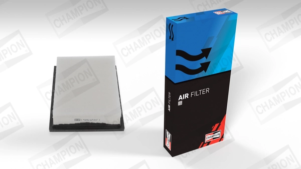 Air Filter CAF101201P