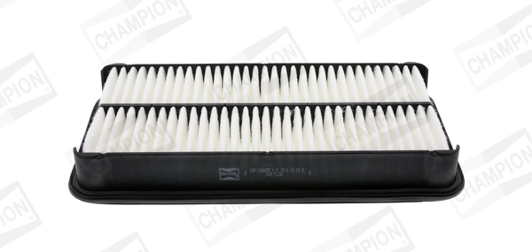 Air Filter CAF100565P