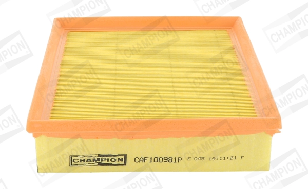Air Filter CAF100981P