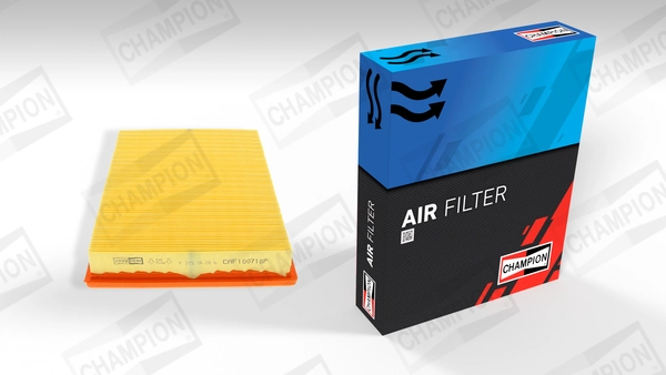 Air Filter CAF100718P