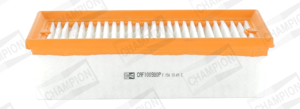 Air Filter CAF100980P
