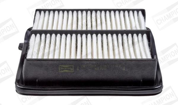 Air Filter CAF101051P