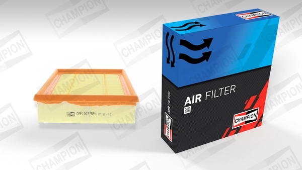 Air Filter CAF100775P