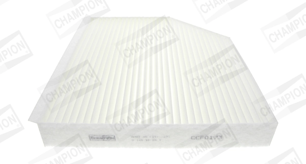 Filter, cabin air CCF0173