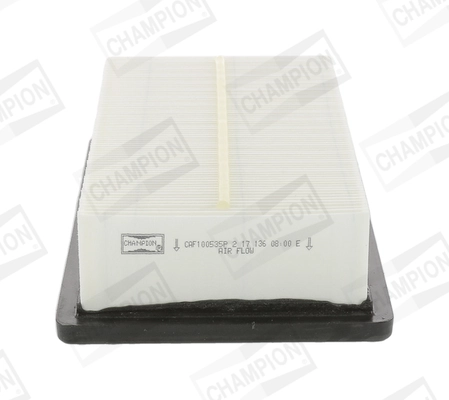 Air Filter CAF100535P