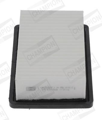 Air Filter CAF101231P