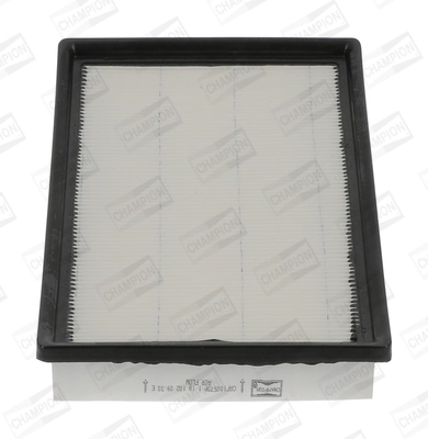 Air Filter CAF100573P