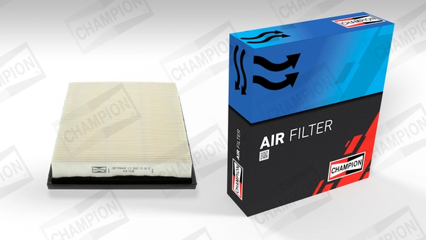 Air Filter CAF100640P