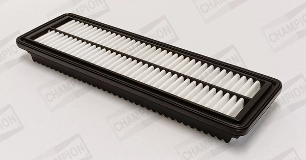 Air Filter CAF101200P