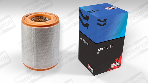 Air Filter CAF101079R