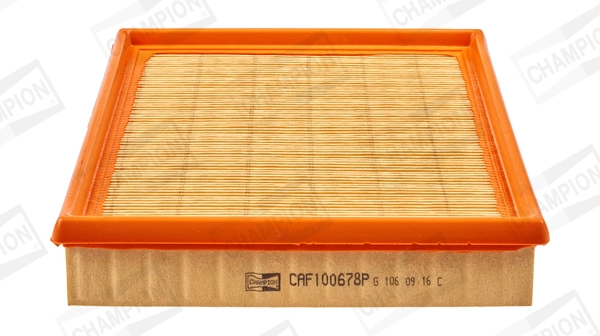 Air Filter CAF100678P