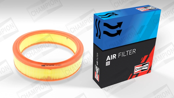 Air Filter CAF100713R
