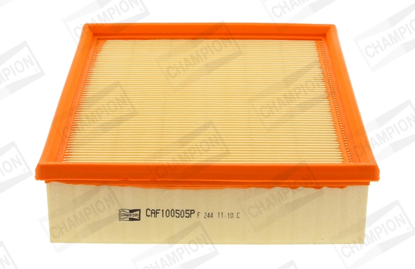 Air Filter CAF100505P