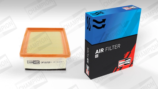 Air Filter CAF100752P
