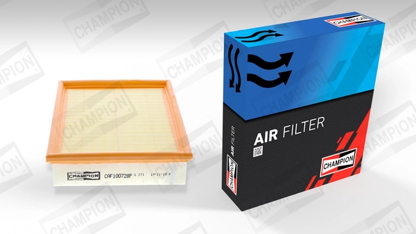 Air Filter CAF100728P