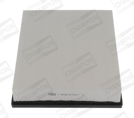 Air Filter CAF101303P