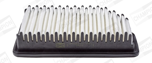 Air Filter CAF101032P