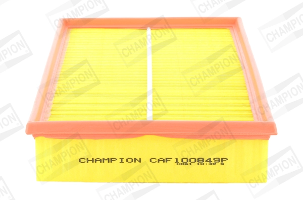 Air Filter CAF100849P