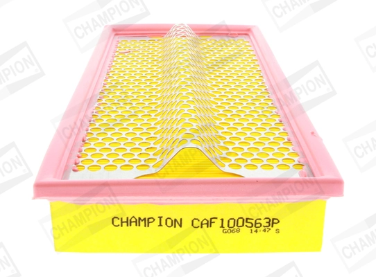 Air Filter CAF100563P