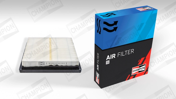 Air Filter CAF100937P
