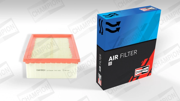 Air Filter CAF100834P
