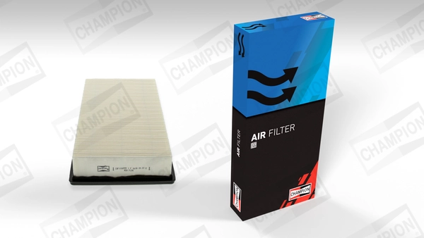 Air Filter CAF100697P