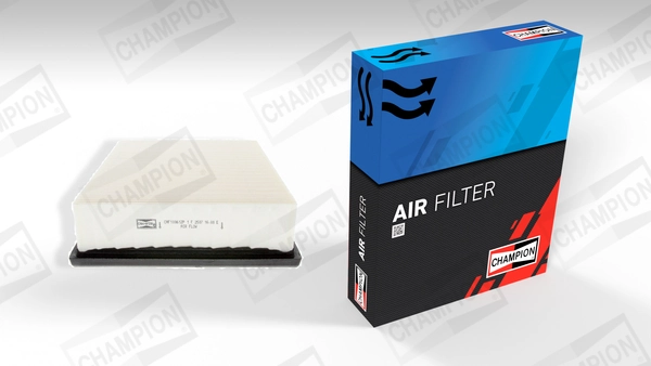 Air Filter CAF100612P