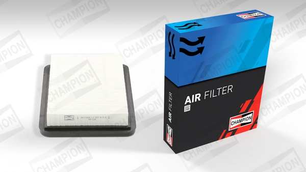 Air Filter CAF100623P
