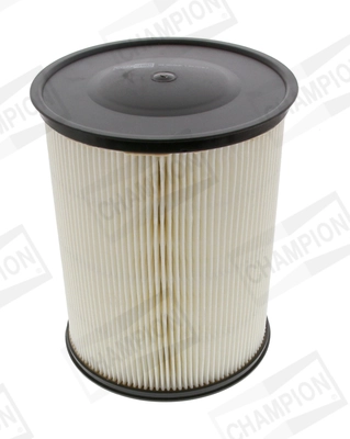 Air Filter CAF100493C