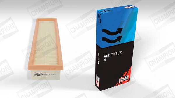 Luftfilter CAF100827P