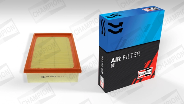 Air Filter CAF100607P
