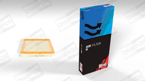 Air Filter CAF100856P