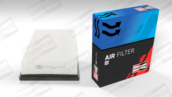 Luftfilter CAF100918P