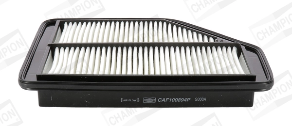 Air Filter CAF100894P