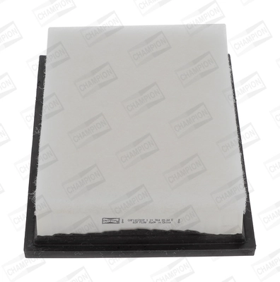 Air Filter CAF101201P