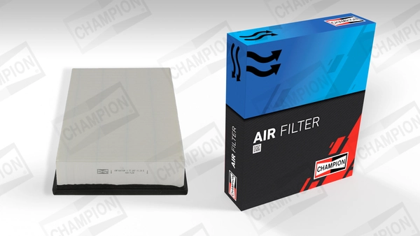 Air Filter CAF100700P
