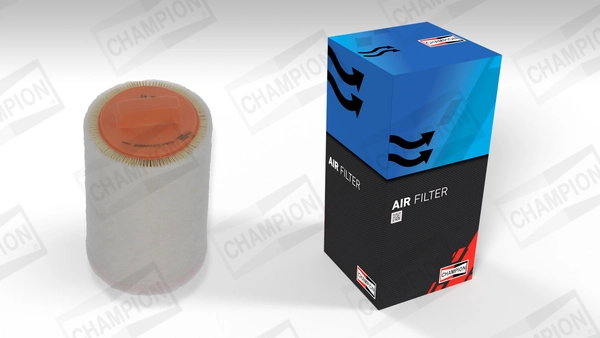 Air Filter CAF101066R