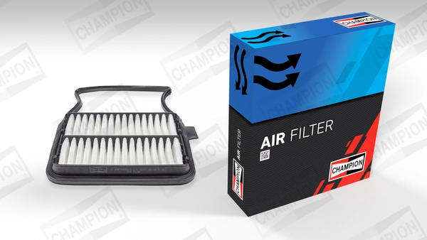 Air Filter CAF100931P