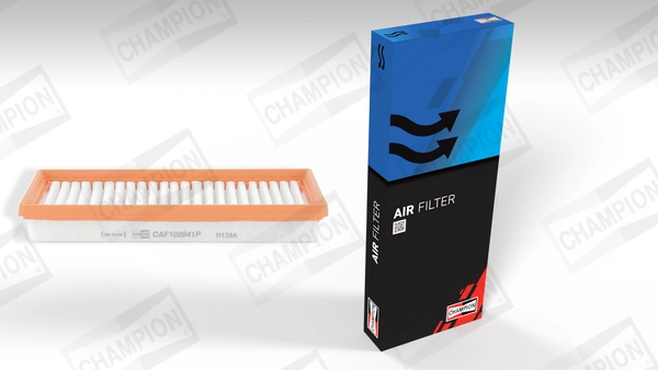 Air Filter CAF100941P