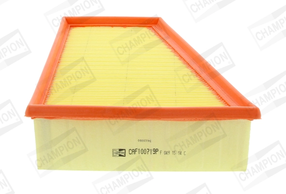 Air Filter CAF100719P