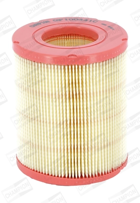 Air Filter CAF100441C
