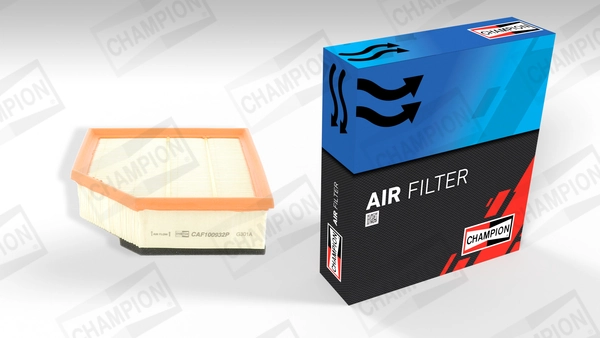 Air Filter CAF100932P