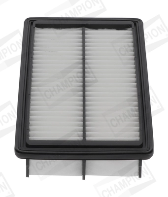 Air Filter CAF101266P